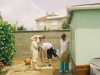 000026-small.jpg