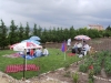 01150001-small.jpg