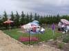 01150004-small.jpg