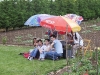 01150046-small.jpg